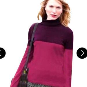 Garnet Hill Cashmere Colorblocked Turtleneck